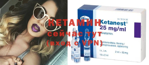 индика Протвино