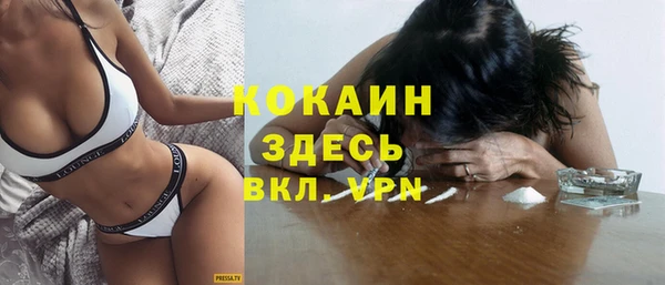 индика Протвино