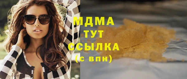 индика Протвино