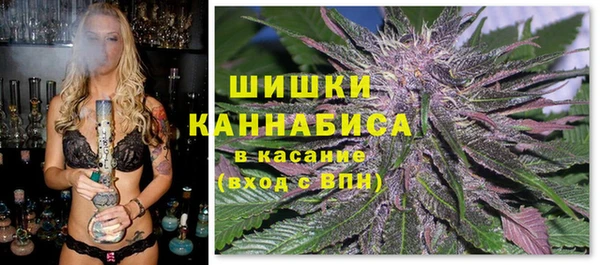 гидра Пролетарск