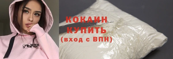 индика Протвино