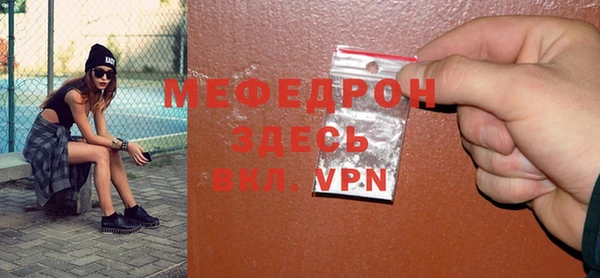 индика Протвино