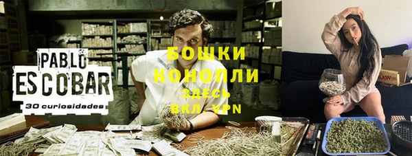индика Протвино