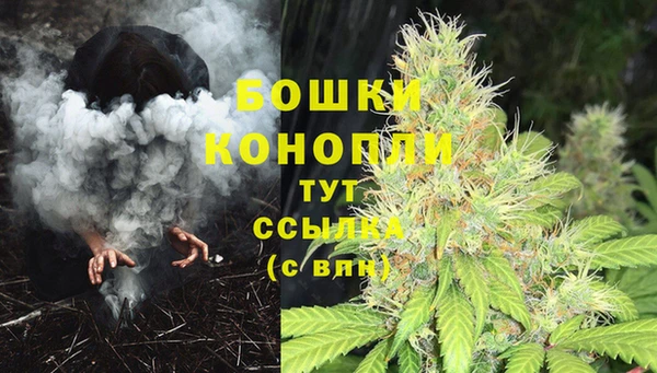 индика Протвино