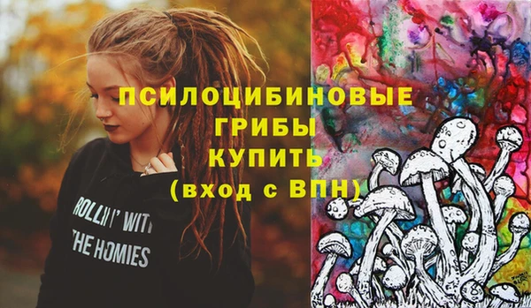 индика Протвино