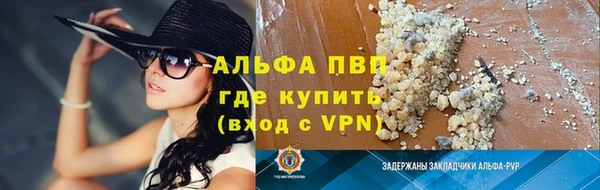 индика Протвино