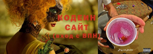 индика Протвино
